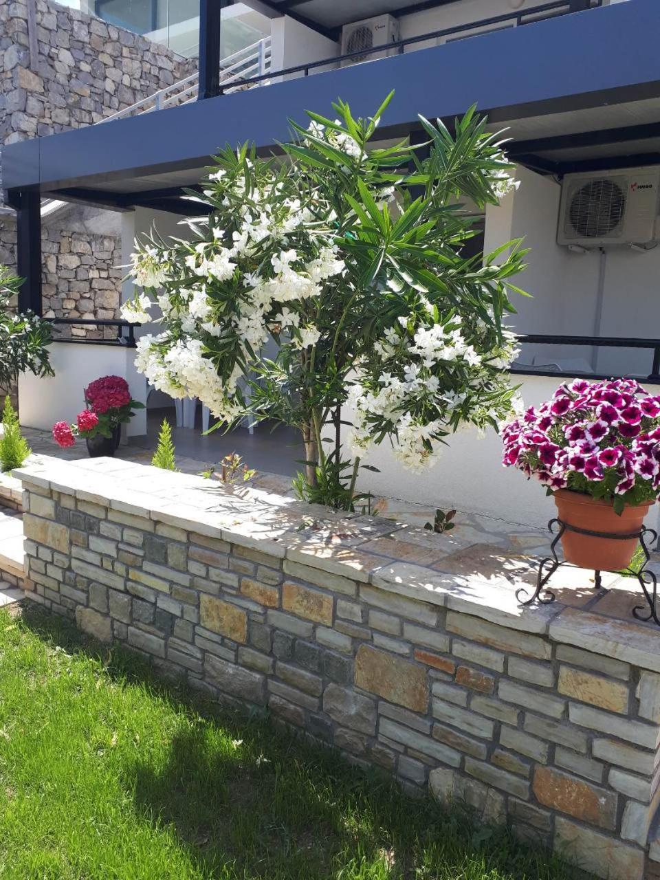 Apartments And Villas Janev Dojran Екстер'єр фото